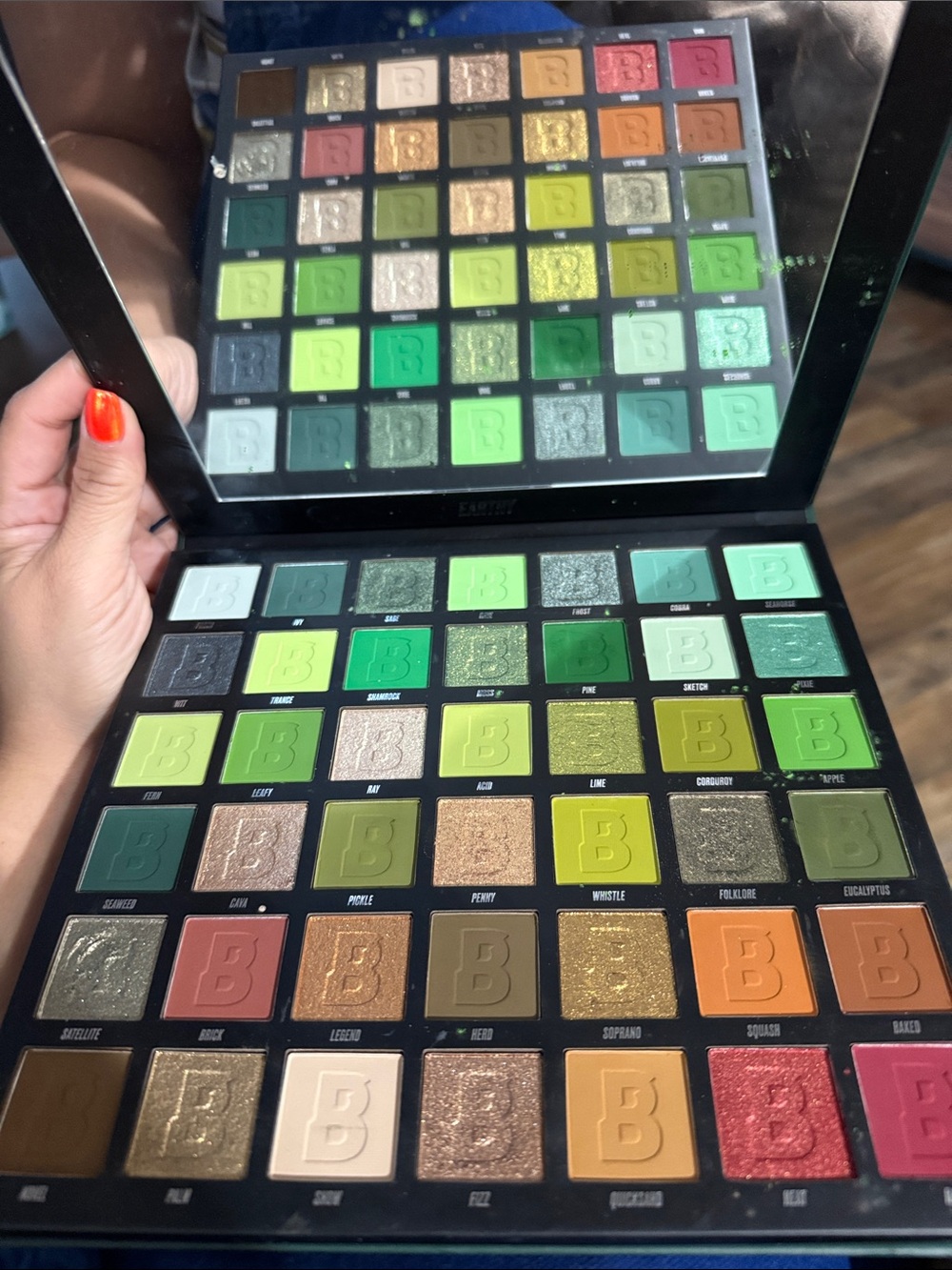 EARTHY Beauty Bay  42-Colour Palette Makeup Palette